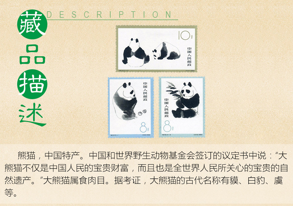 特59熊猫